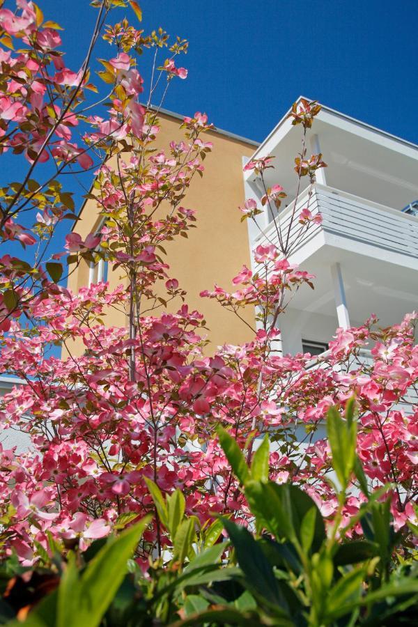 Hotel Jardis (Adults Only) 拉纳 外观 照片